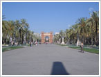 clicca