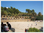 clicca