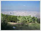 clicca