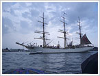 clicca